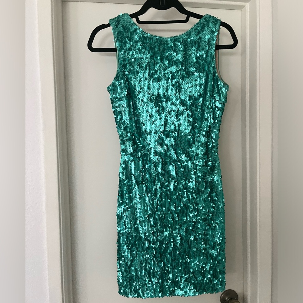 Dress the Population Sequin Dress